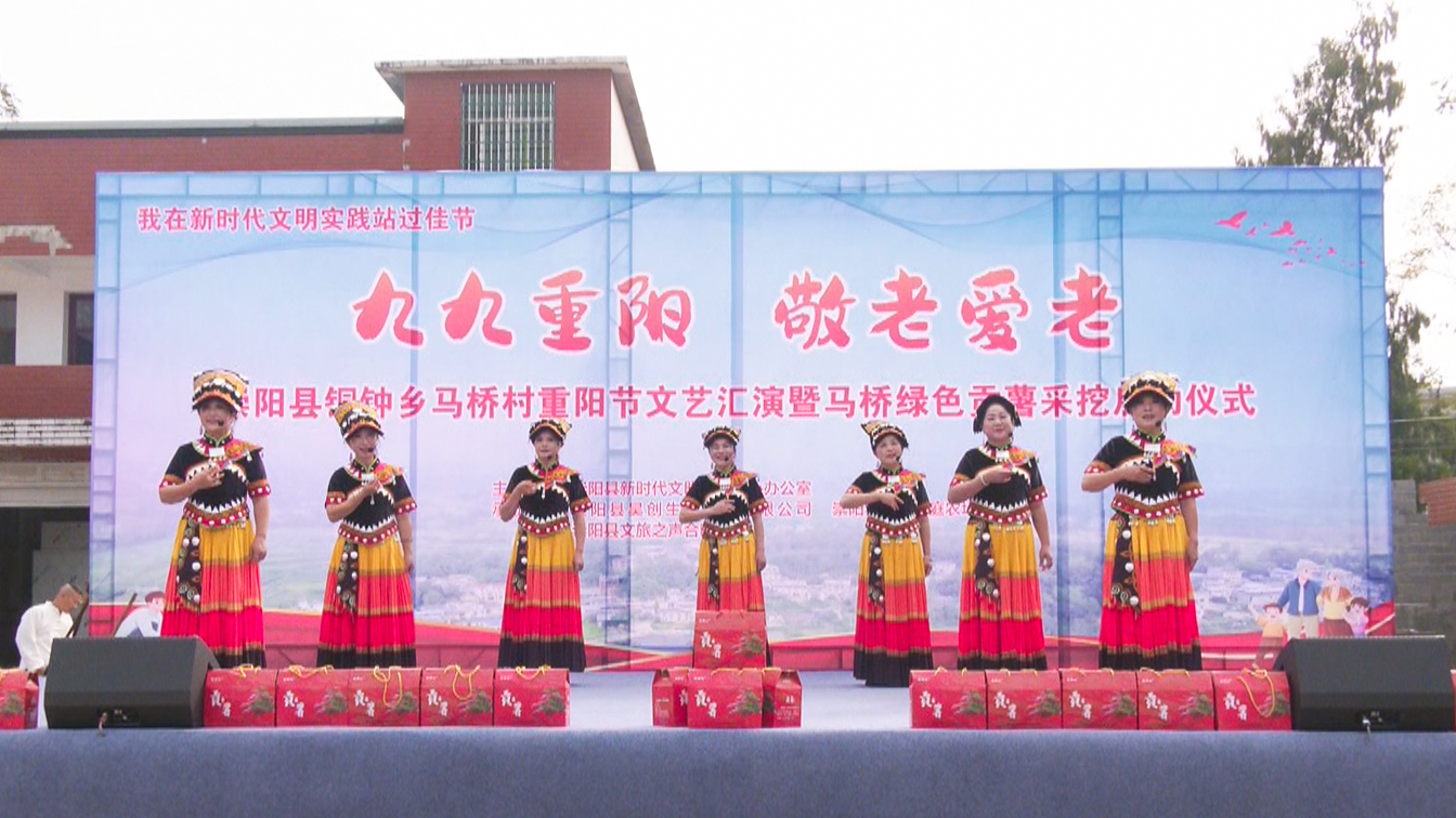 政务信息与文艺表演的和谐共生